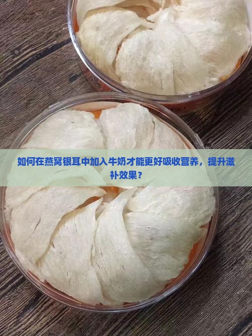 如何在燕窝银耳中加入牛奶才能更好吸收营养，提升滋补效果？