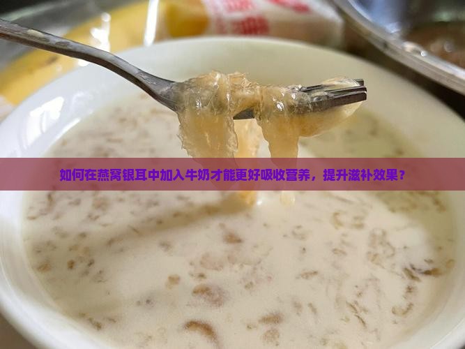 如何在燕窝银耳中加入牛奶才能更好吸收营养，提升滋补效果？