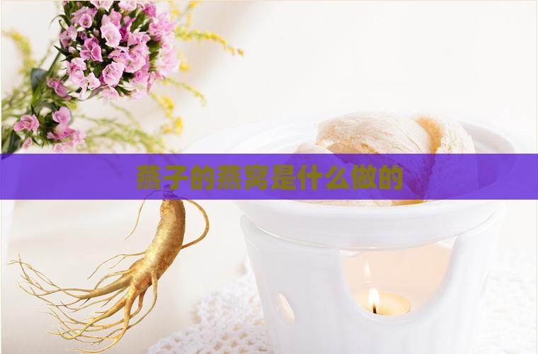 燕子的燕窝是什么做的