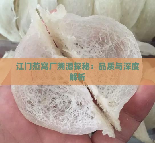 江门燕窝厂溯源探秘：品质与深度解析