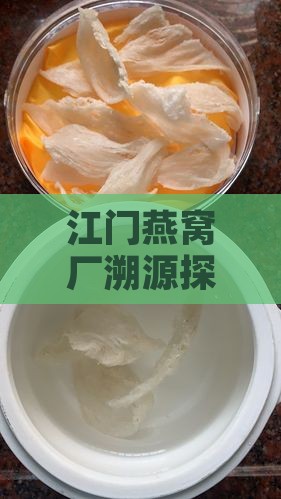 江门燕窝厂溯源探秘：品质与深度解析