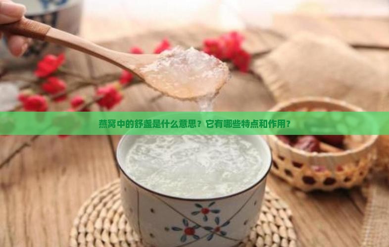 燕窝中的舒盏是什么意思？它有哪些特点和作用？