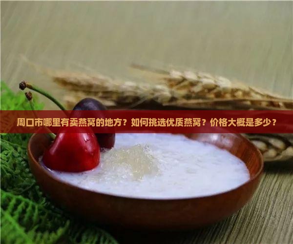 周口市哪里有卖燕窝的地方？如何挑选优质燕窝？价格大概是多少？