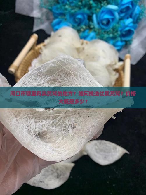 周口市哪里有卖燕窝的地方？如何挑选优质燕窝？价格大概是多少？