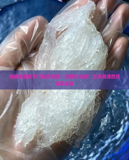 浦城哪里有专门卖燕窝的？燕窝价格贵？正宗溯源燕窝购买渠道