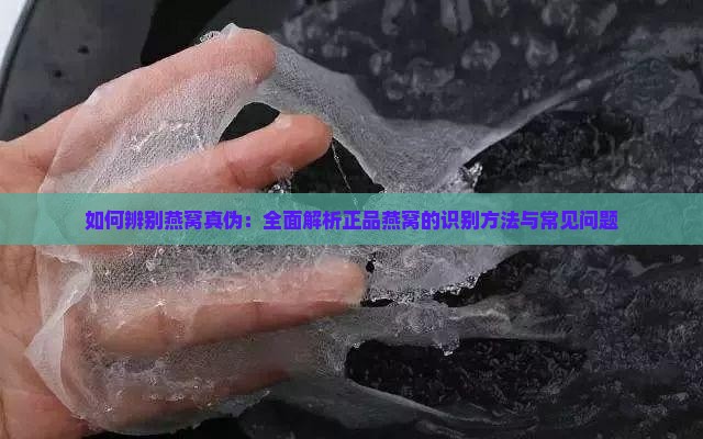 如何辨别燕窝真伪：全面解析正品燕窝的识别方法与常见问题