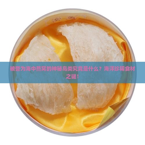 被誉为海中燕窝的神秘鸟类究竟是什么？海洋珍稀食材之谜！
