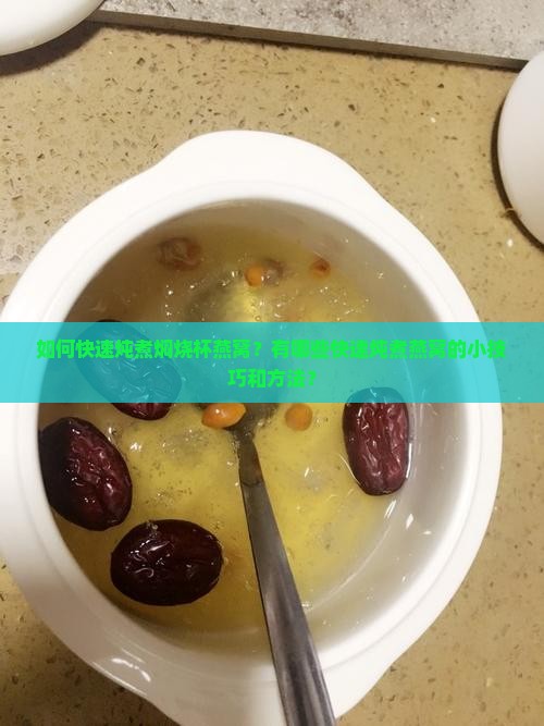 如何快速炖煮焖烧杯燕窝？有哪些快速炖煮燕窝的小技巧和方法？
