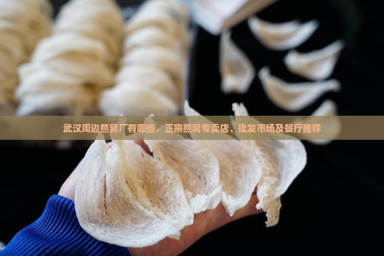 武汉周边燕窝厂有哪些，正宗燕窝专卖店、批发市场及餐厅推荐