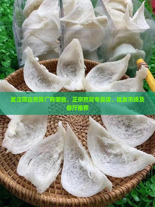 武汉周边燕窝厂有哪些，正宗燕窝专卖店、批发市场及餐厅推荐