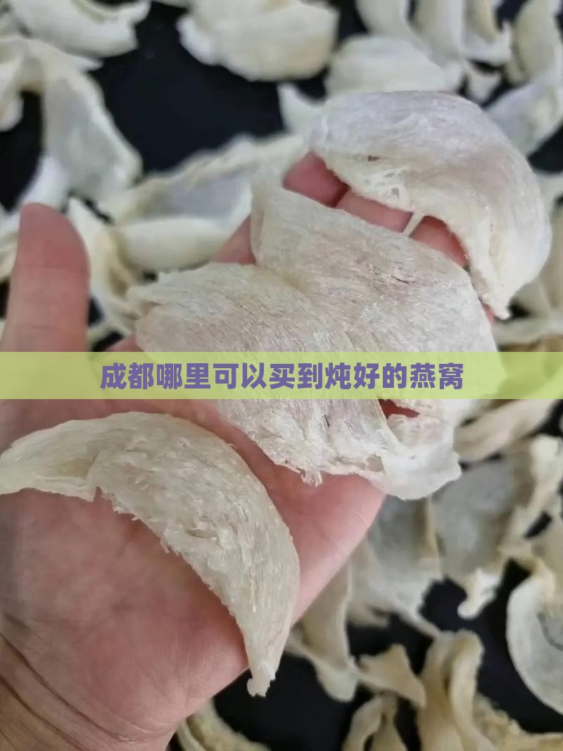 成都哪里可以买到炖好的燕窝