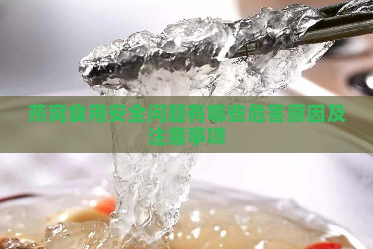 燕窝食用安全问题有哪些危害原因及注意事项