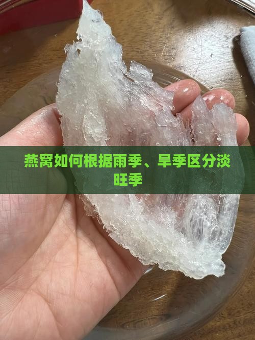 燕窝如何根据雨季、旱季区分淡旺季