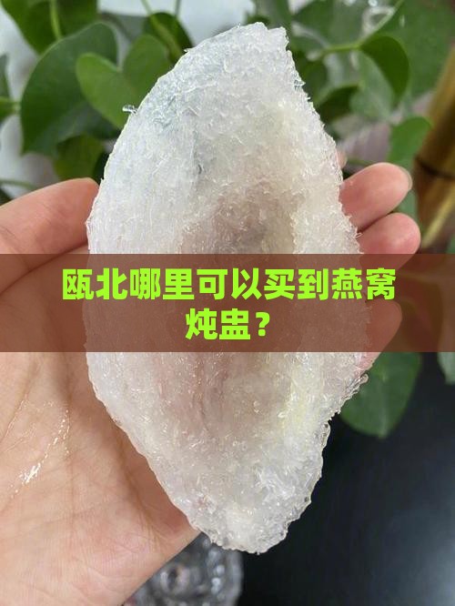 瓯北哪里可以买到燕窝炖盅？