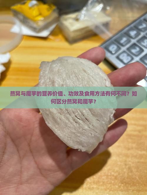 燕窝与魔芋的营养价值、功效及食用方法有何不同？如何区分燕窝和魔芋？