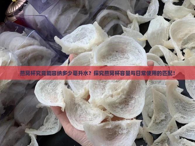 燕窝杯究竟能容纳多少毫升水？探究燕窝杯容量与日常使用的匹配！