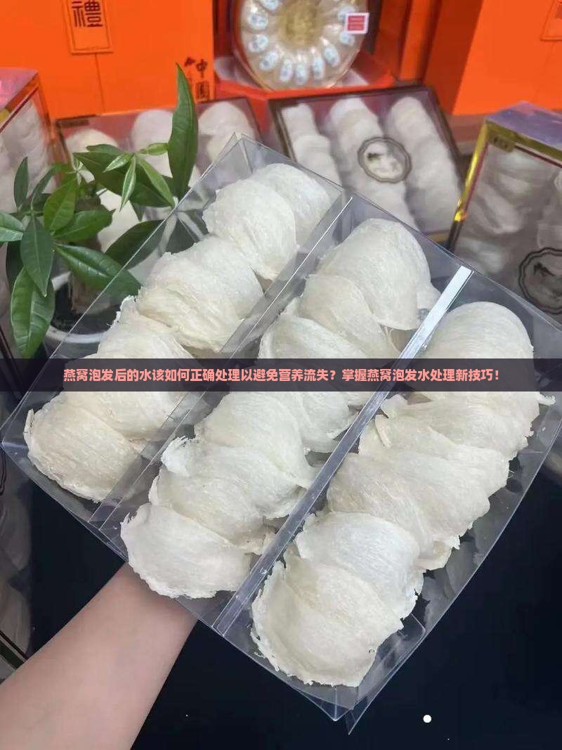 燕窝泡发后的水该如何正确处理以避免营养流失？掌握燕窝泡发水处理新技巧！