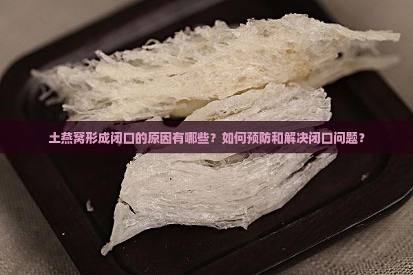 土燕窝形成闭口的原因有哪些？如何预防和解决闭口问题？