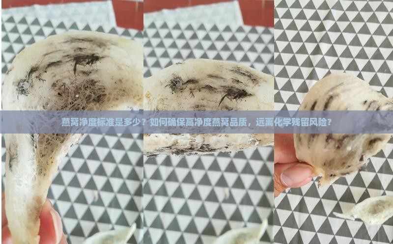 燕窝净度标准是多少？如何确保高净度燕窝品质，远离化学残留风险？