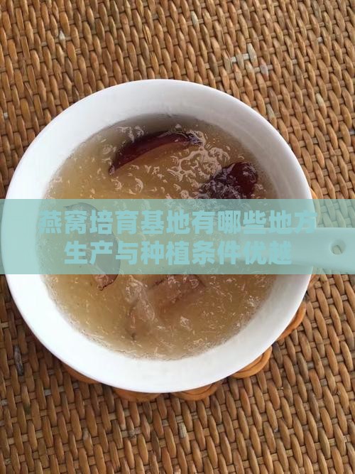 燕窝培育基地有哪些地方生产与种植条件优越
