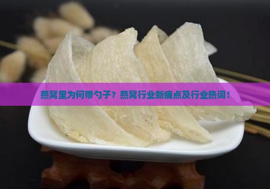 燕窝里为何带勺子？燕窝行业新痛点及行业热词！