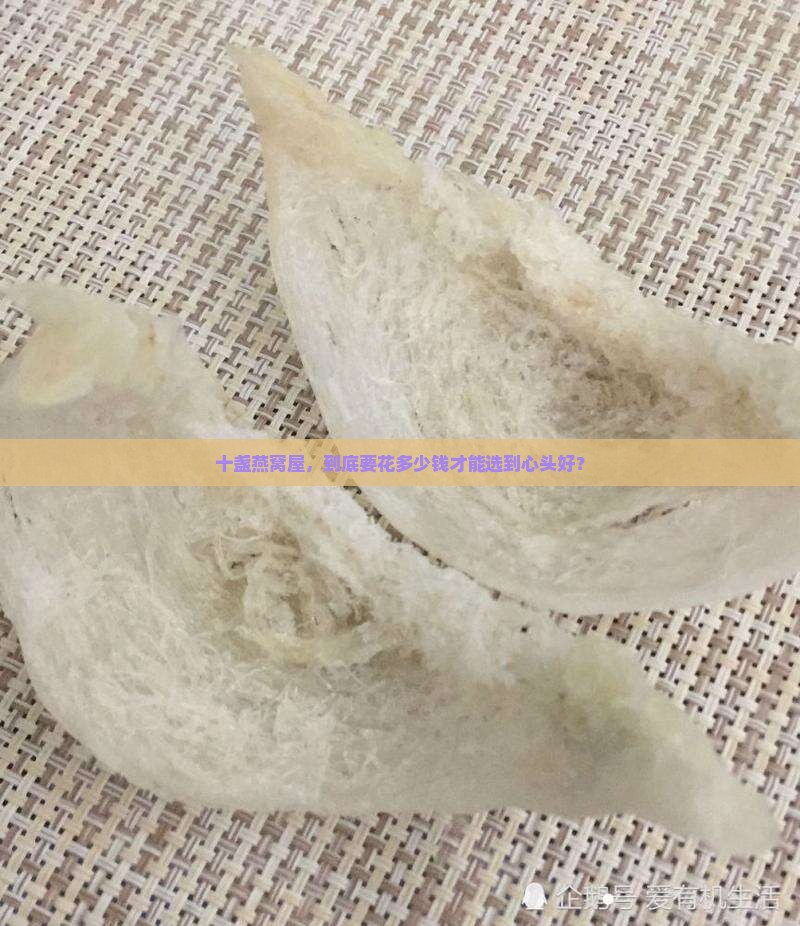 十盏燕窝屋精选多少钱