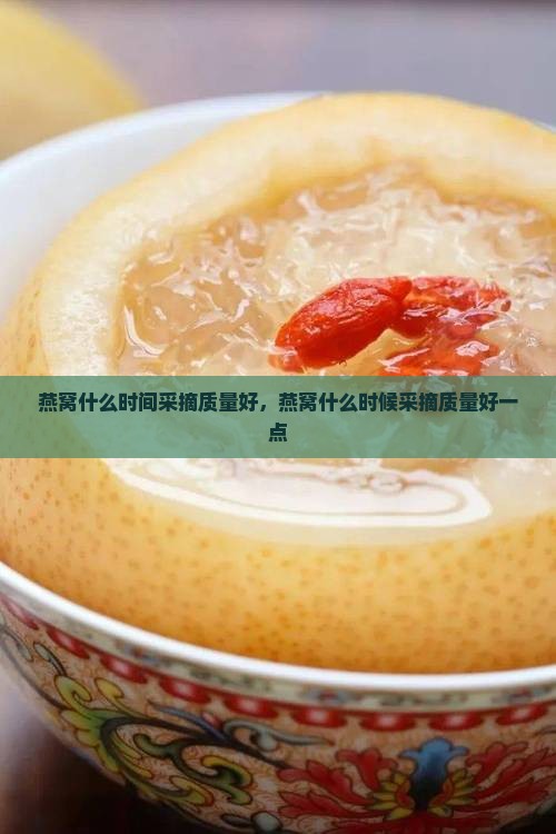 燕窝什么时间采摘质量好