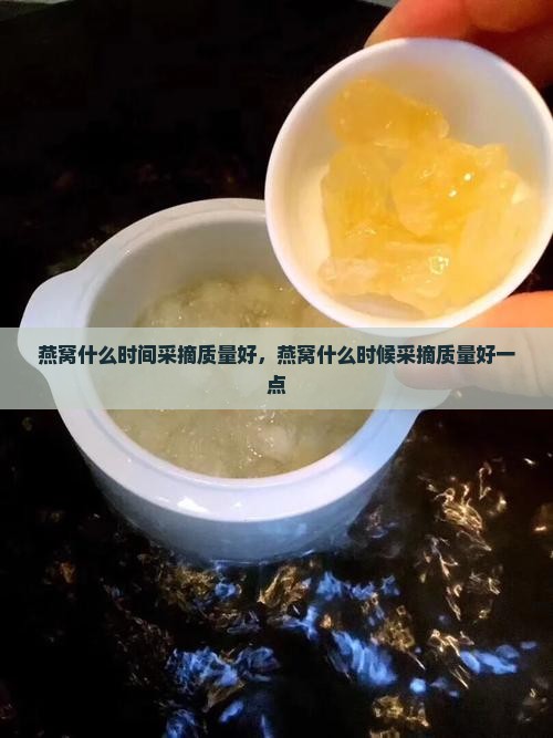 燕窝什么时间采摘质量好