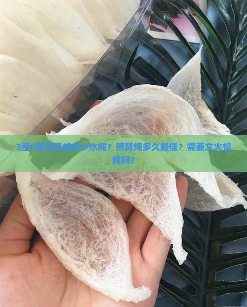 3至5克燕窝加多少水炖