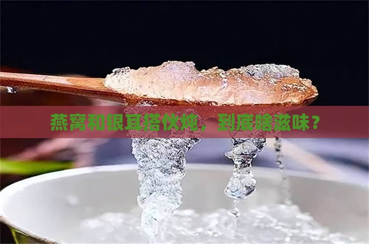 燕窝和银耳一起如何炖