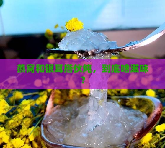 燕窝和银耳一起如何炖
