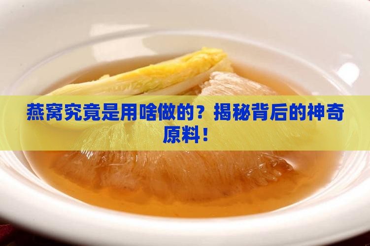 燕窝是用什么东西做得呢