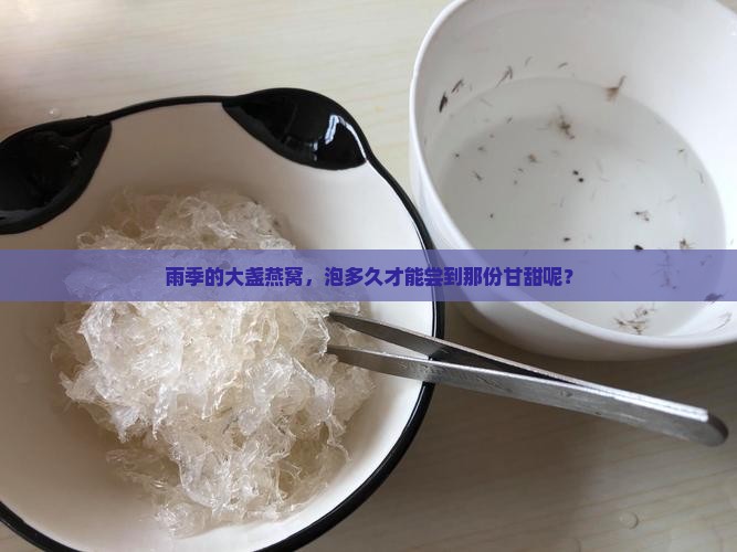 雨季大盏燕窝要泡多久