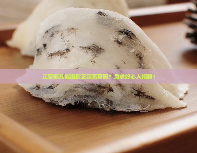 江夏哪里有燕窝卖的地方