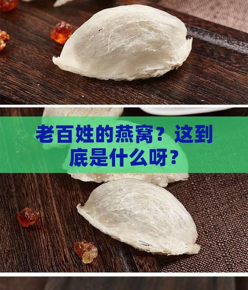 老百姓的燕窝是指什么