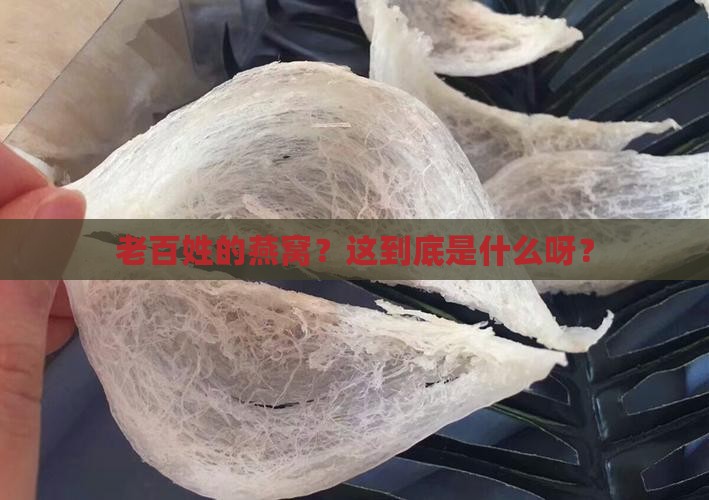 老百姓的燕窝是指什么