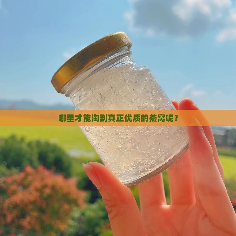 哪里能买到最好的燕窝