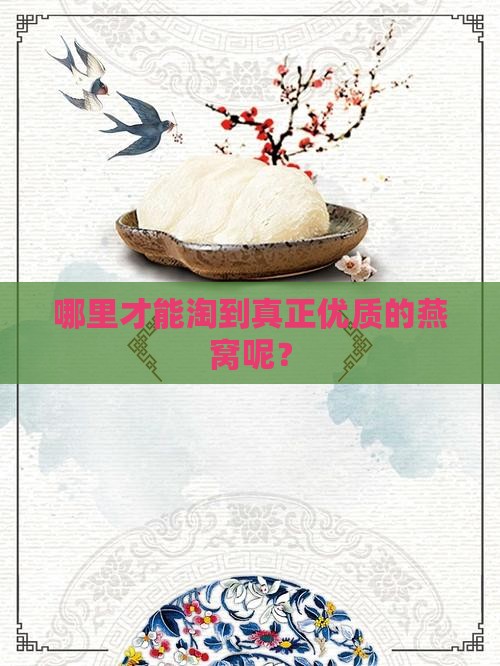 哪里能买到最好的燕窝