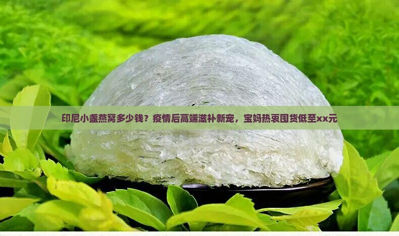 印尼小盏燕窝什么价格