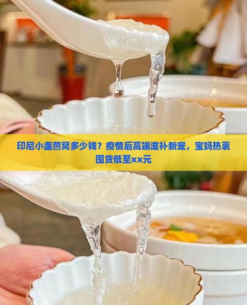 印尼小盏燕窝什么价格
