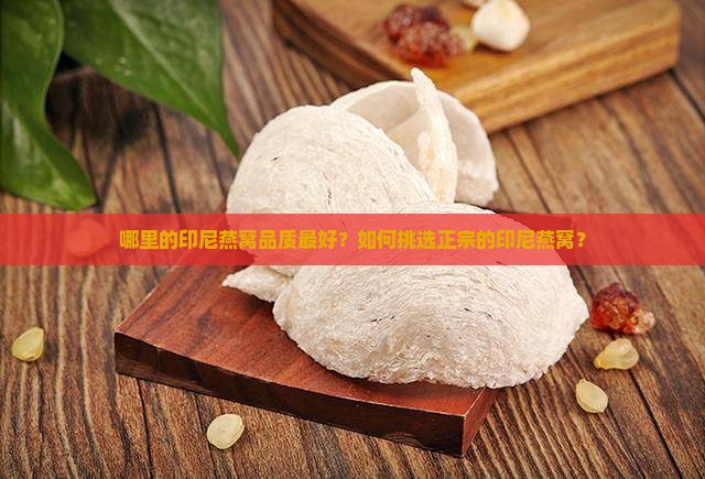 印尼什么地方燕窝最好