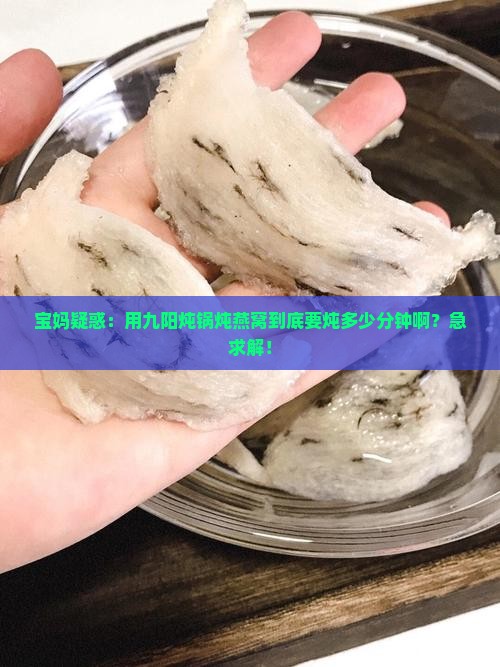 九阳炖锅燕窝炖多久合适
