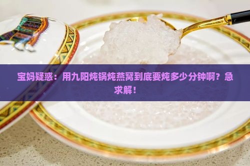 九阳炖锅燕窝炖多久合适