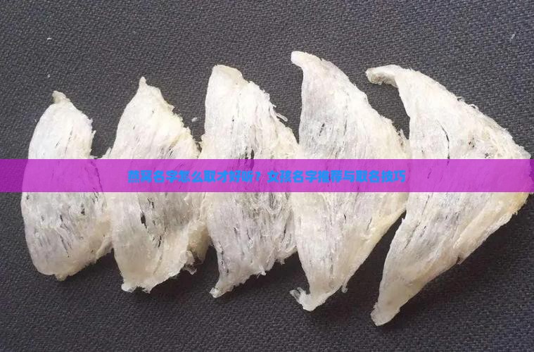 燕窝名字怎么取才好听