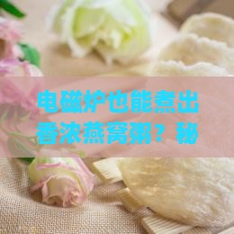 怎么用电磁炉煮燕窝粥呢