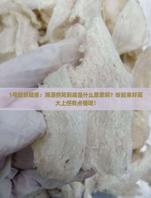 溯源燕窝概念是什么意思