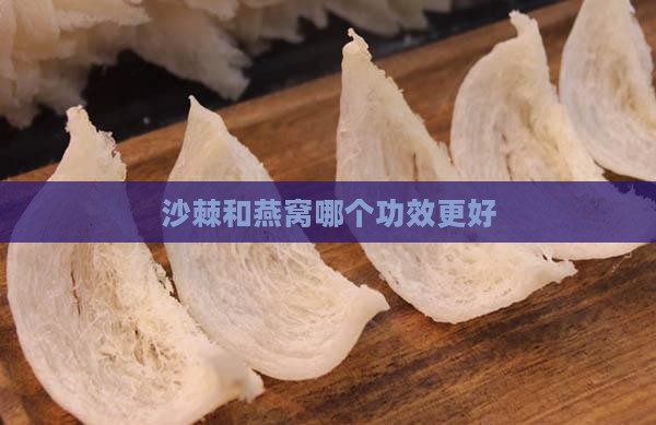 燕窝和沙棘哪个功效更好