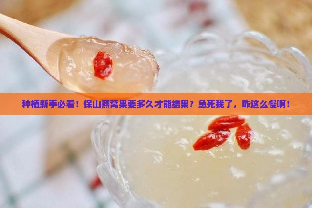 保山燕窝果生长周期多久