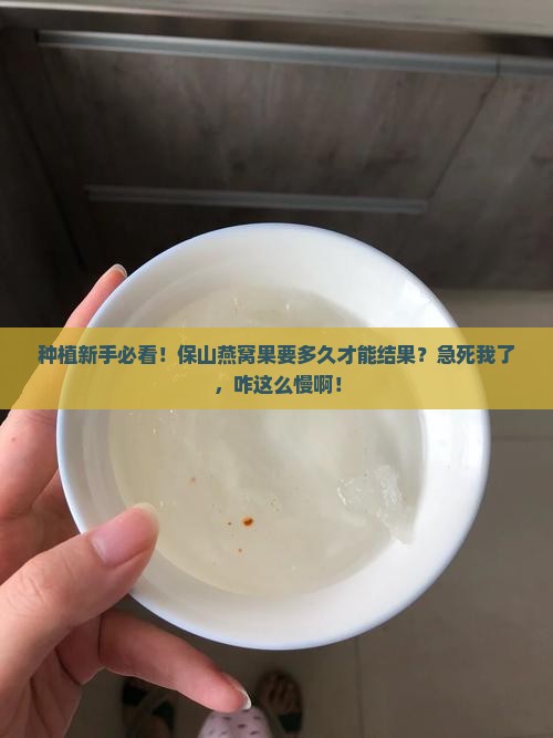 保山燕窝果生长周期多久