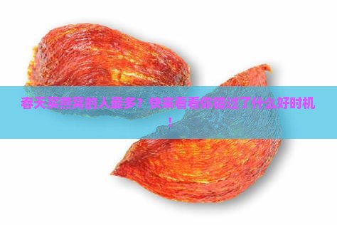 什么季节燕窝购买率最高